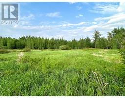 21 Acres Russell Road, Black River Bridge, New Brunswick