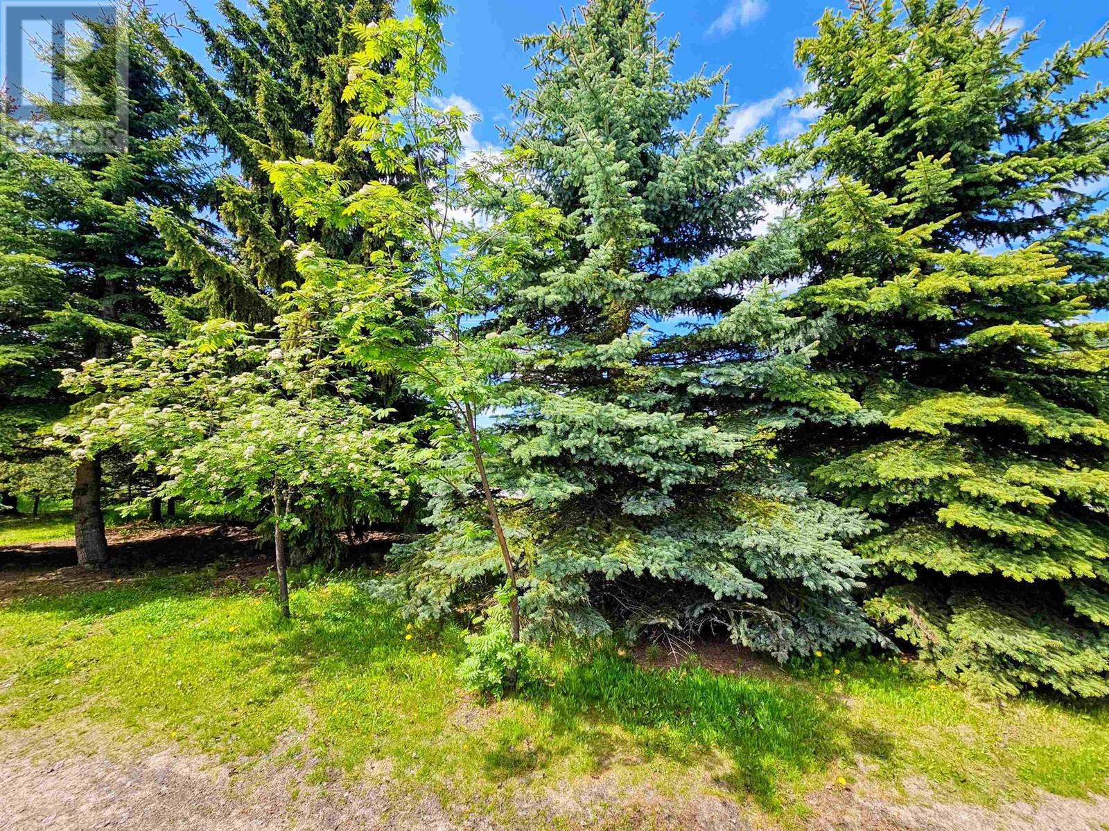 1 8622 Hart Highway, Prince George, British Columbia  V2K 3B7 - Photo 22 - R3011134
