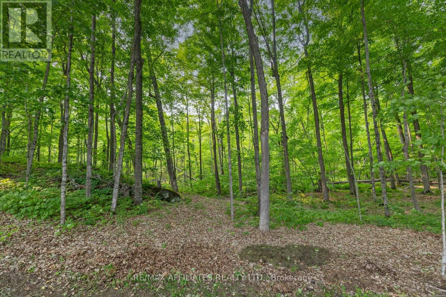 234 Boyds Road, Lanark Highlands, Ontario  K7C 0C5 - Photo 35 - X12200647