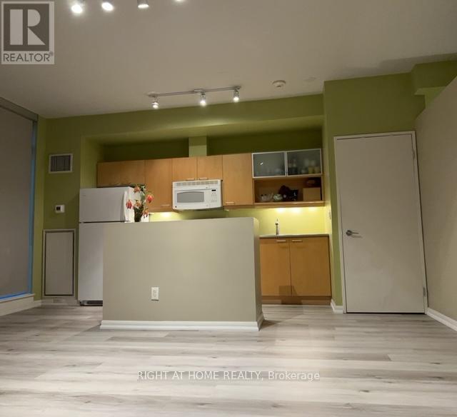 506 - 333 Adelaide Street E, Toronto, Ontario  M5A 4T4 - Photo 11 - C12200711