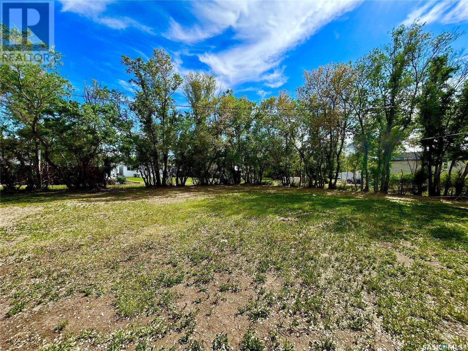 209 4th Avenue E, Coleville, Saskatchewan  S0L 0K0 - Photo 5 - SK008530