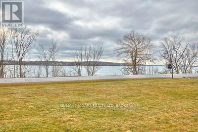 10655 Niagara Parkway, Niagara Falls (Lyons Creek), Ontario  L2E 6S6 - Photo 5 - X12200926