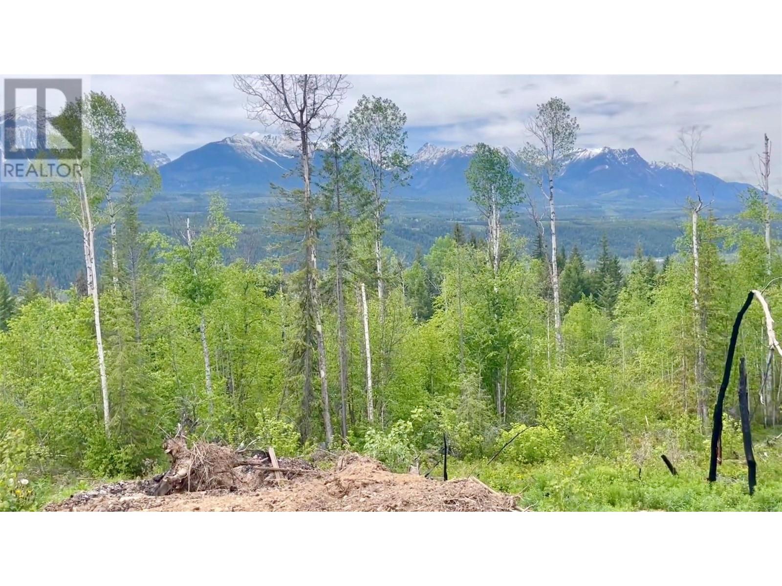 Ls15 Adolph Johnson Road, Golden, British Columbia  V0A 1H0 - Photo 3 - 10350480