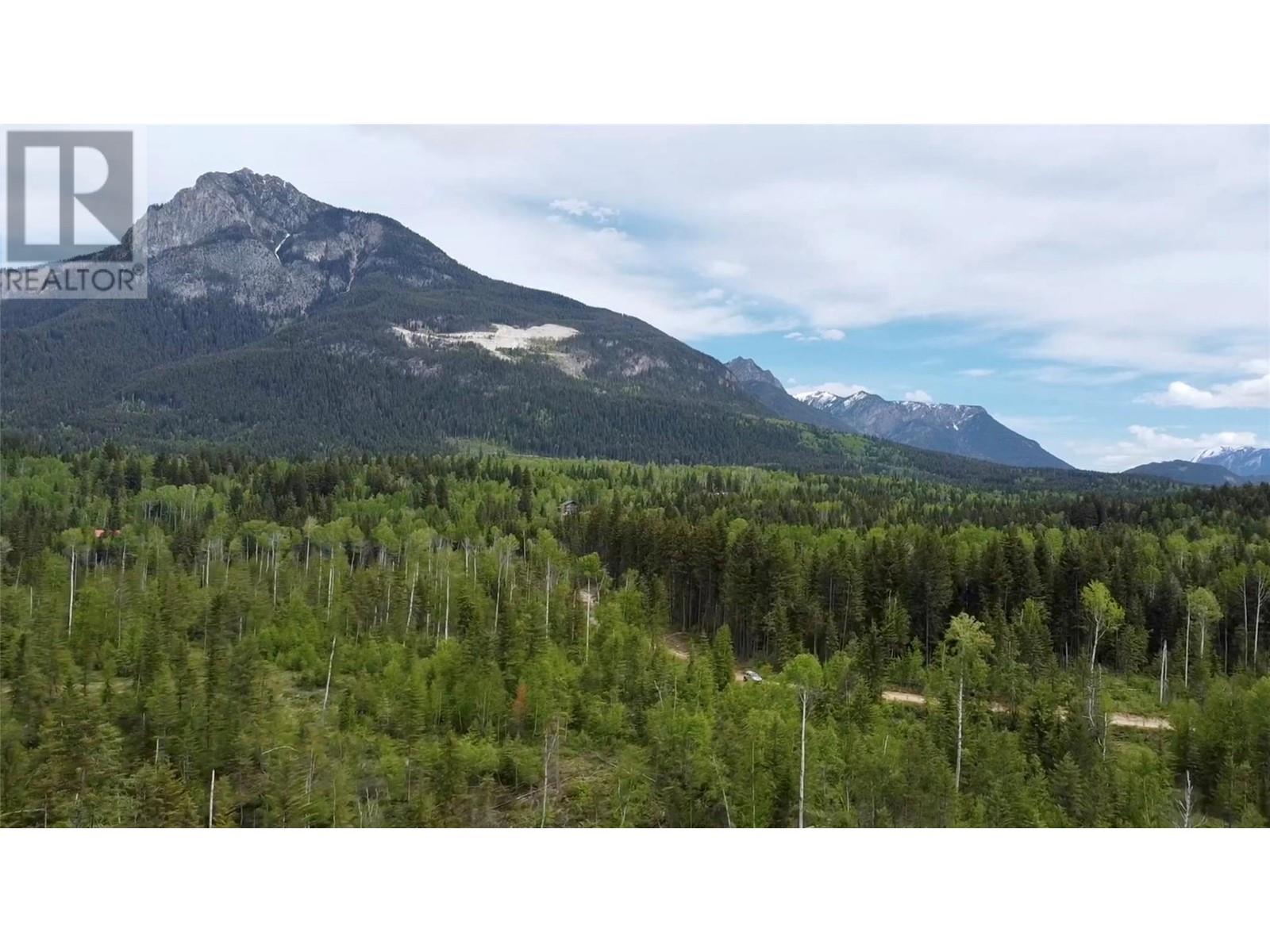 Ls15 Adolph Johnson Road, Golden, British Columbia  V0A 1H0 - Photo 13 - 10350480