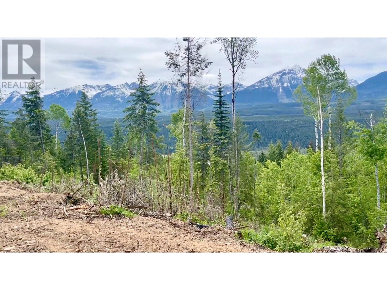 Ls15 Adolph Johnson Road, Golden, British Columbia  V0A 1H0 - Photo 2 - 10350480