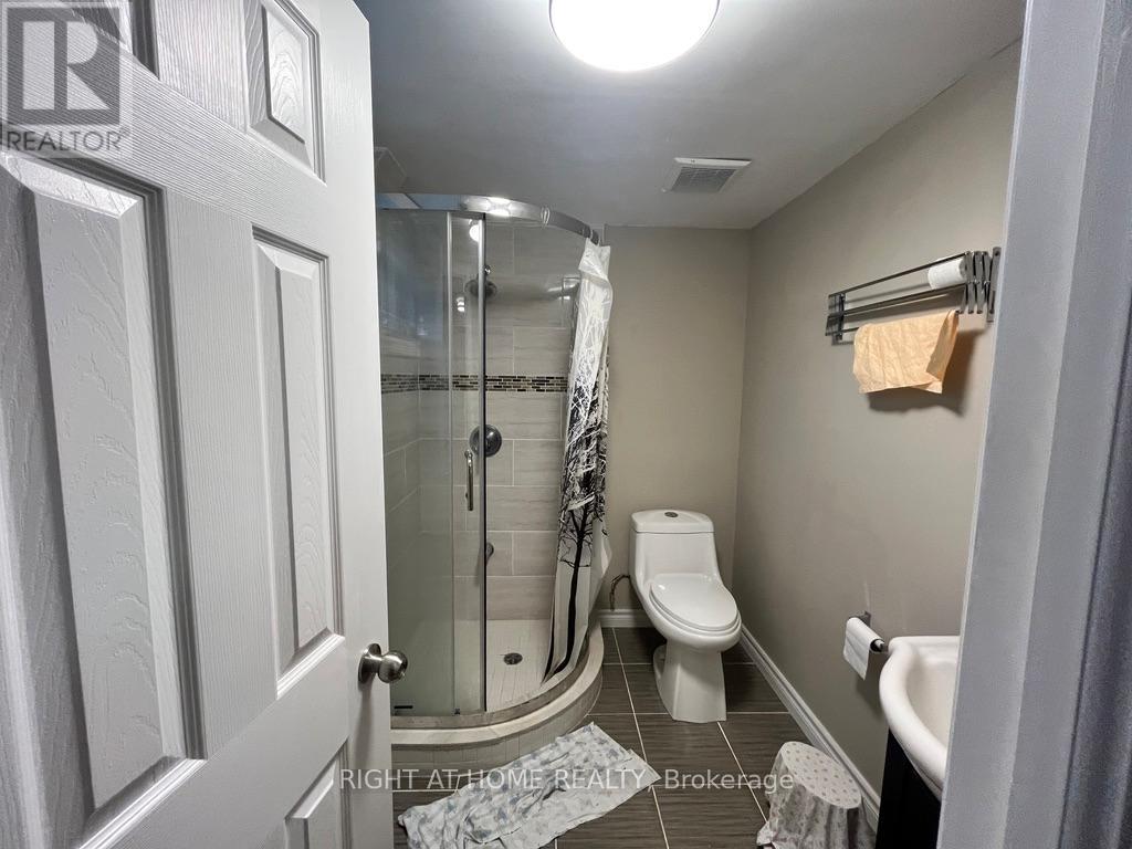 Basement - 165 Maple Avenue, Richmond Hill, Ontario  L4C 2J2 - Photo 9 - N12201084