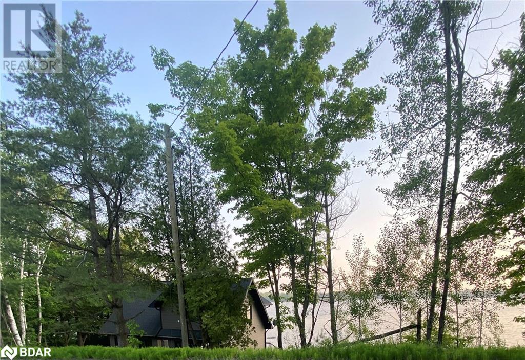 449 Star Lake Rd Road, Seguin, Ontario  P2A 2W8 - Photo 43 - 40736624