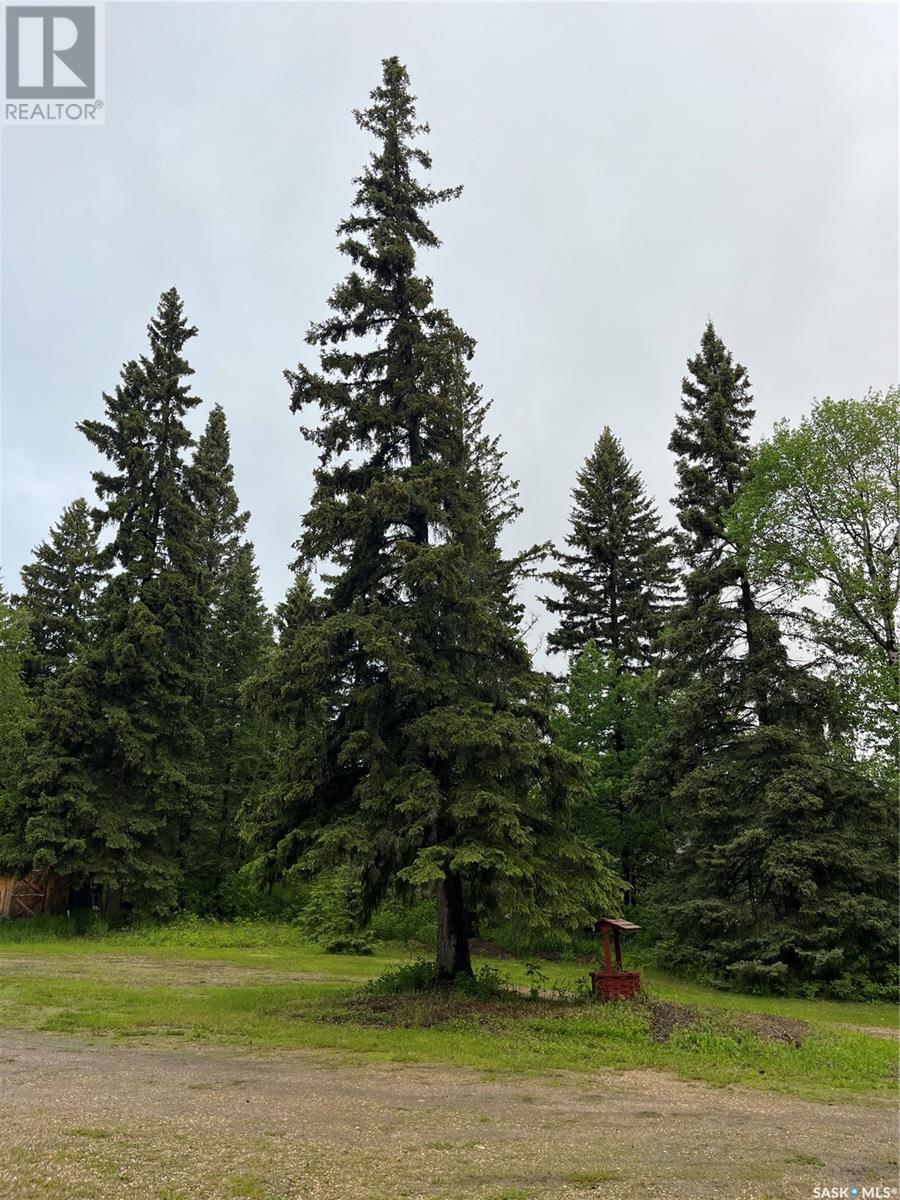 5 Buckingham Trail, Big River Rm No. 555, Saskatchewan  S0J 0E0 - Photo 40 - SK008478