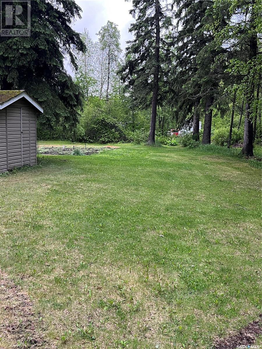 5 Buckingham Trail, Big River Rm No. 555, Saskatchewan  S0J 0E0 - Photo 46 - SK008478