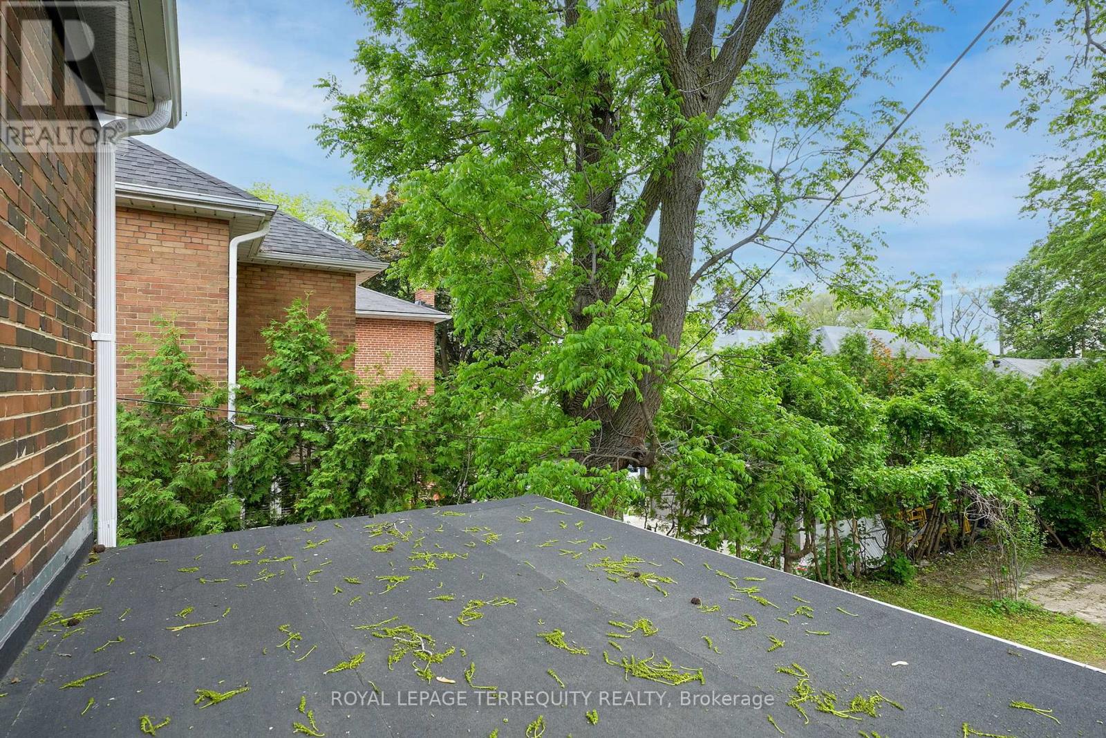 102 Guestville Avenue, Toronto, Ontario  M6N 4N6 - Photo 19 - W12201219
