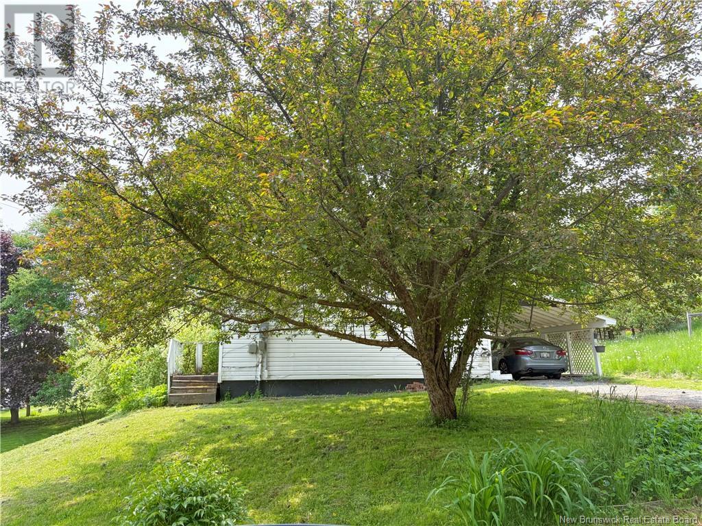 105 Sharkey Street, Woodstock, New Brunswick  E7N 2R1 - Photo 48 - NB119757