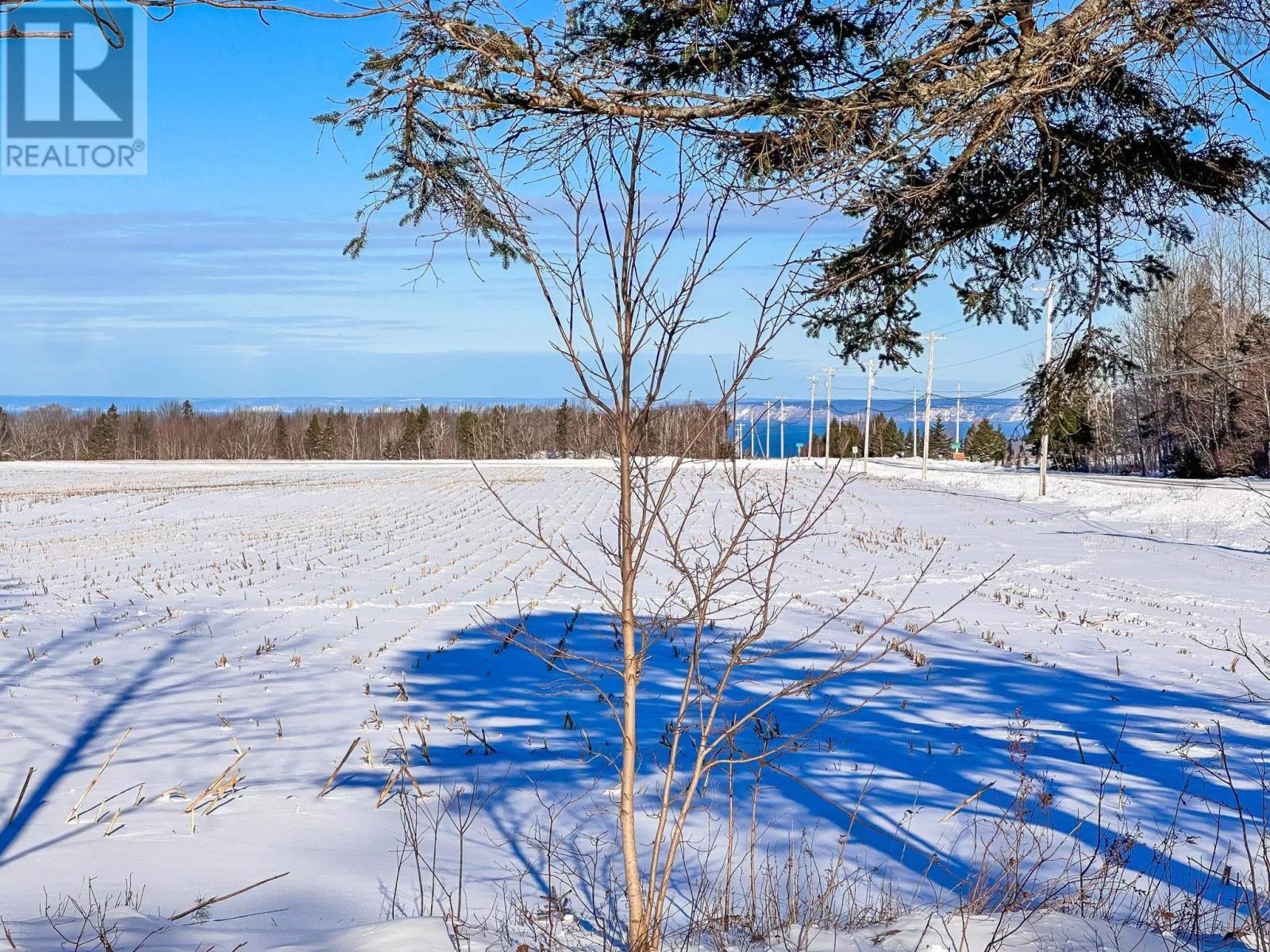1587 Highway 360, Garland, Nova Scotia  B0P 1E0 - Photo 3 - 202503720