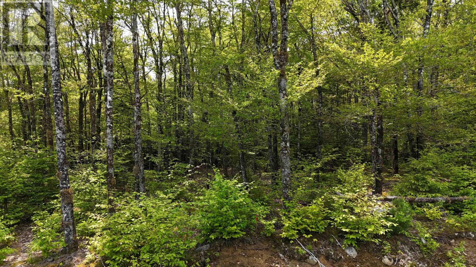 Lot 2 Nathan Croft Road, Camperdown Meadows, Camperdown, Nova Scotia  B4V 6T9 - Photo 2 - 202501241