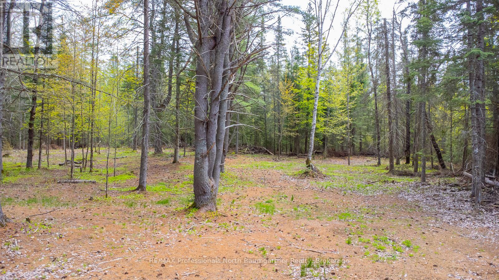 Pt11-12 Haliburton Lake Road, Dysart Et Al, Ontario  K0M 1S0 - Photo 3 - X12198773