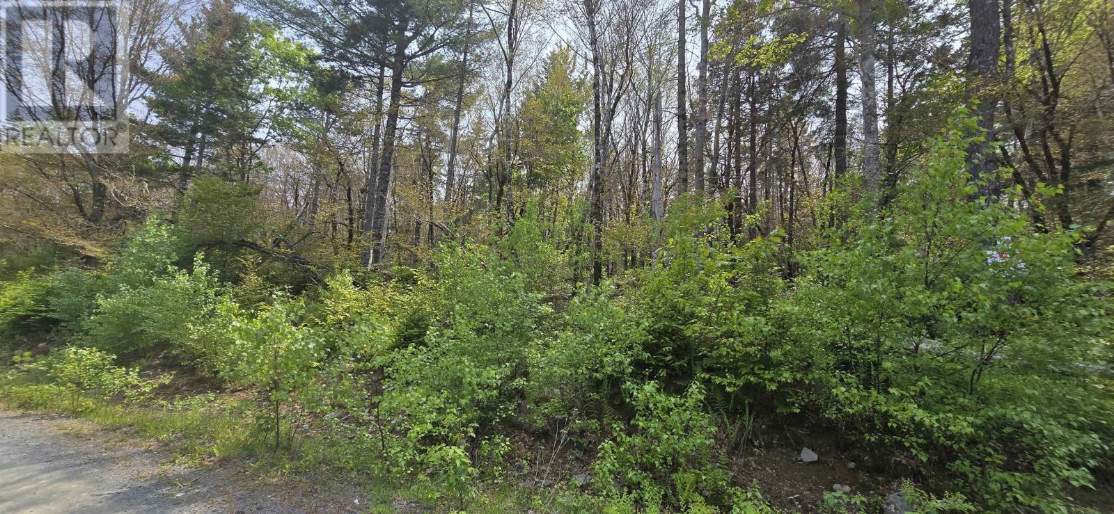 Lot 4 Nathan Croft Road, Camperdown Meadows, Camperdown, Nova Scotia  B4V 6T9 - Photo 1 - 202501239