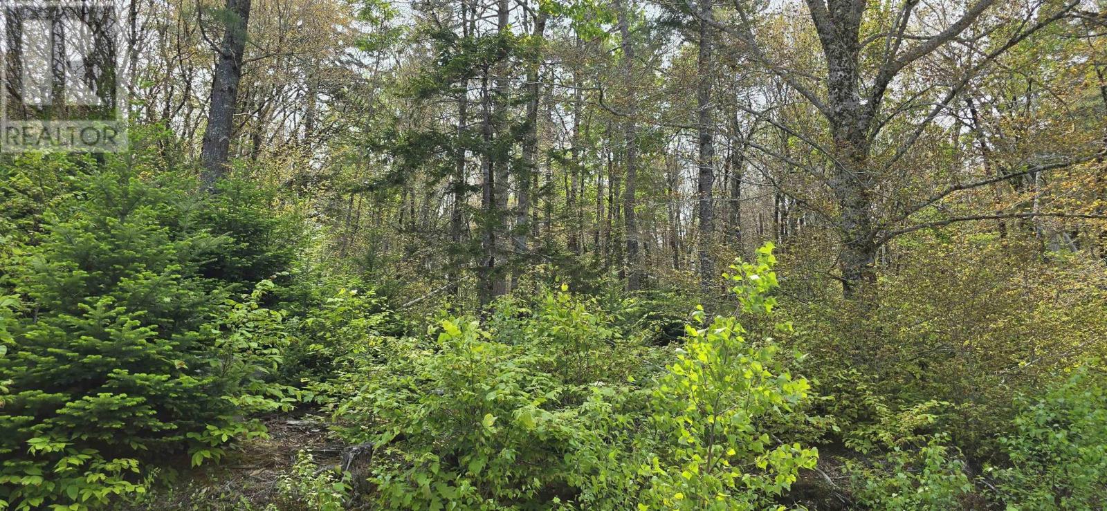 Lot 4 Nathan Croft Road, Camperdown Meadows, Camperdown, Nova Scotia  B4V 6T9 - Photo 6 - 202501239