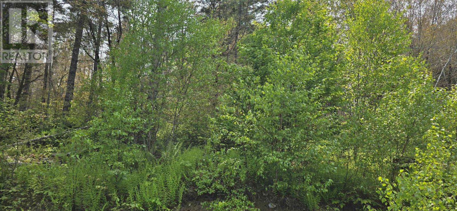 Lot 4 Nathan Croft Road, Camperdown Meadows, Camperdown, Nova Scotia  B4V 6T9 - Photo 9 - 202501239