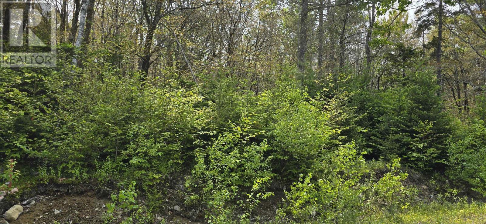 Lot 4 Nathan Croft Road, Camperdown Meadows, Camperdown, Nova Scotia  B4V 6T9 - Photo 7 - 202501239