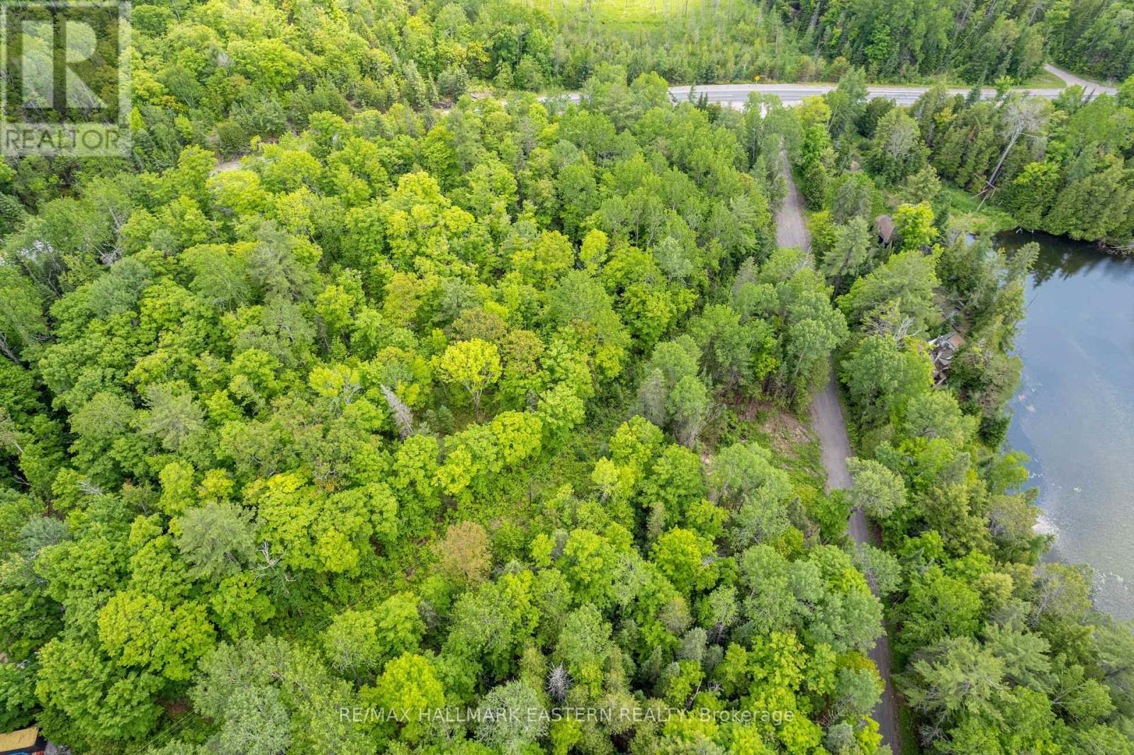00 Johnson Road, North Kawartha, Ontario  K0L 1A0 - Photo 11 - X12201541