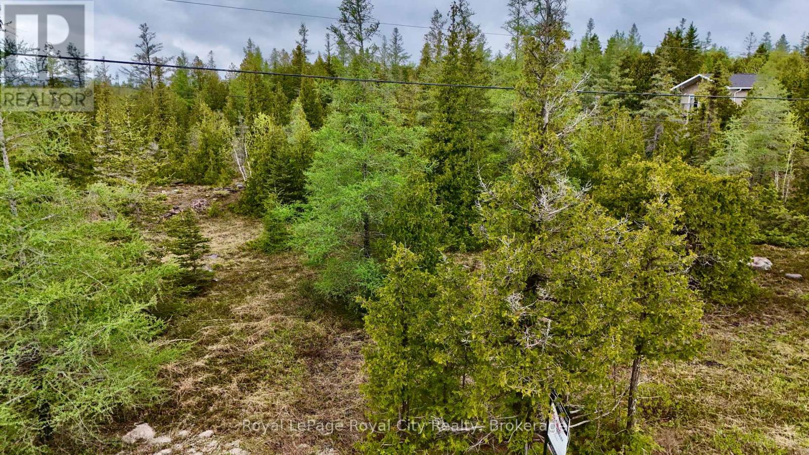 Pt Lt 30 Con 7 Pt 65 Old Pine Tree Road, Northern Bruce Peninsula, Ontario N0H 1Z0 - Photo 5 - X12201526