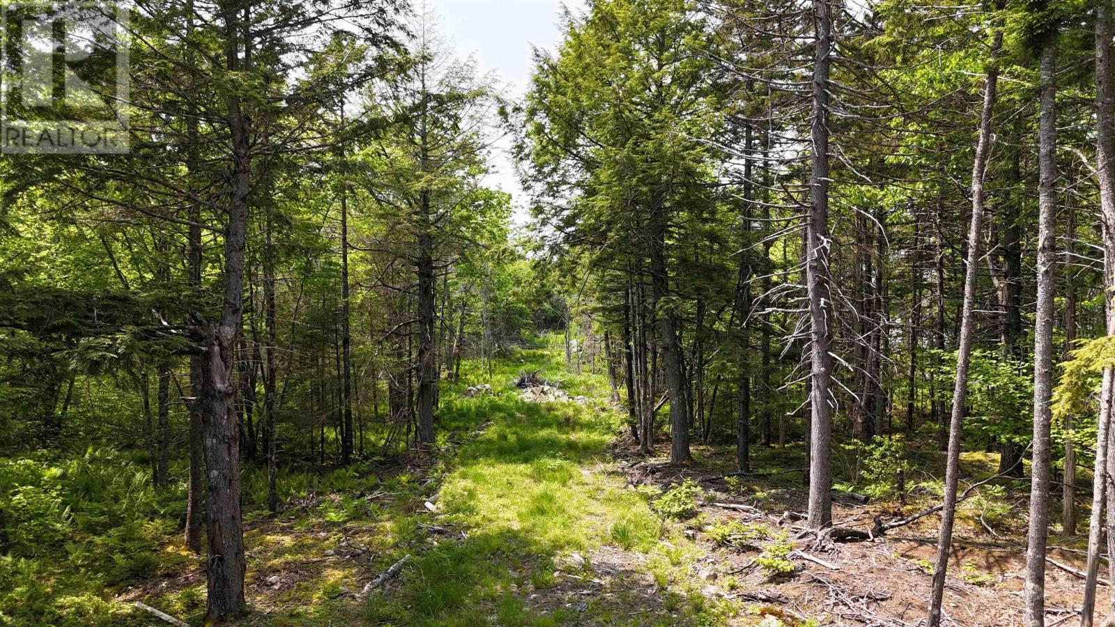 Lot 6 Nathan Croft Road, Camperdown, Nova Scotia  B4V 6T9 - Photo 12 - 202501253
