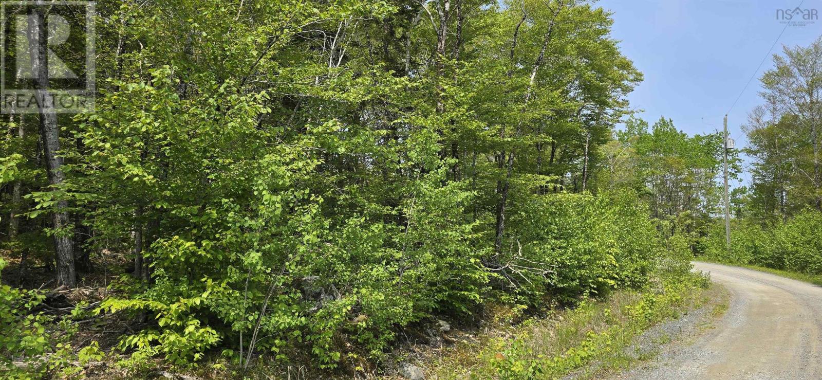 Lot 9 Nathan Croft Road, Camperdown Meadows, Camperdown, Nova Scotia  B4V 6T9 - Photo 1 - 202501211