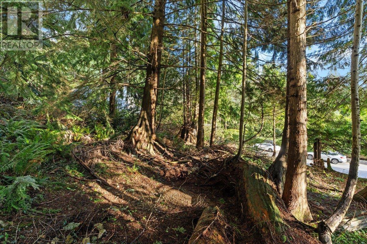 478 Craigmohr Drive, West Vancouver, British Columbia  V7S 1W6 - Photo 10 - R3012208