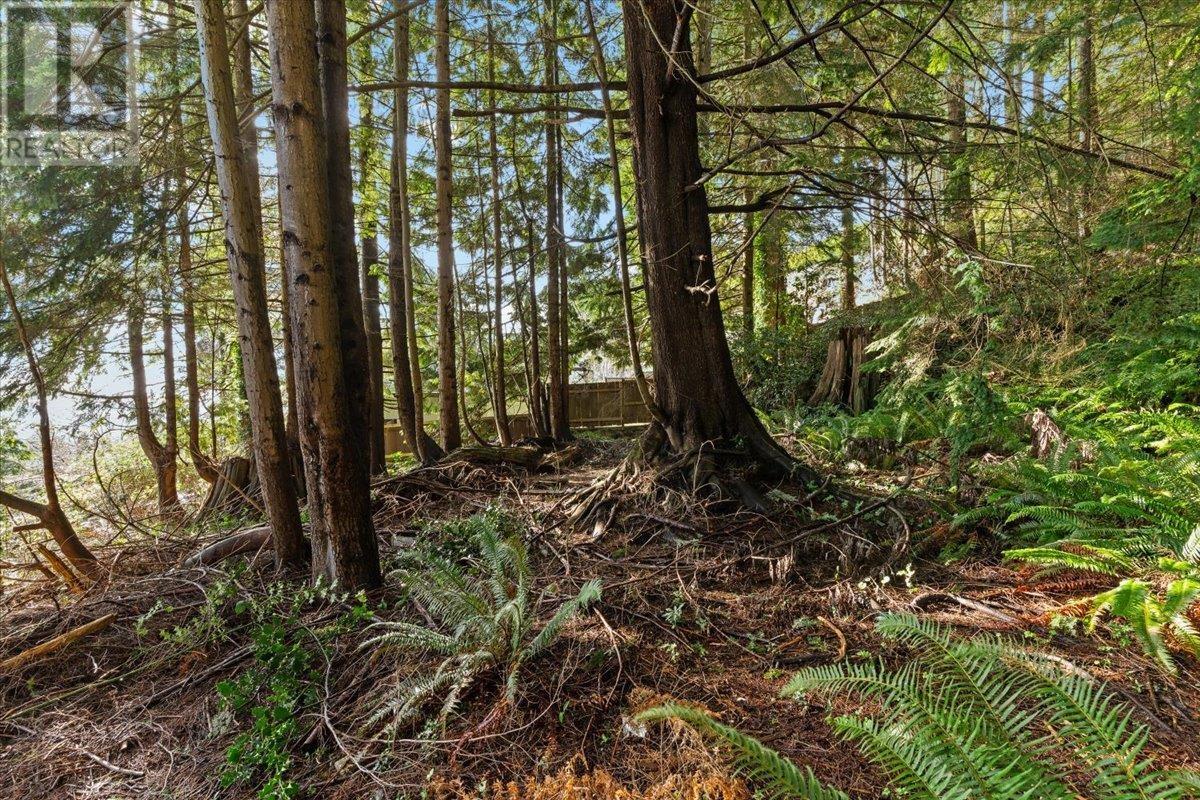 478 Craigmohr Drive, West Vancouver, British Columbia  V7S 1W6 - Photo 7 - R3012208