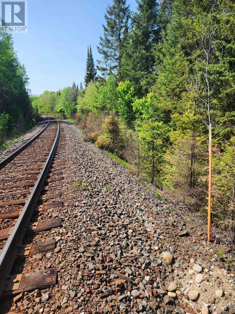0       Pcl11457 Lot 16 &17 Con 14, Perry, Ontario  P0A 1J0 - Photo 4 - X12201841
