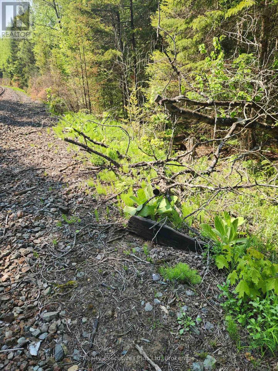 0       Pcl11457 Lot 16 &17 Con 14, Perry, Ontario  P0A 1J0 - Photo 5 - X12201841
