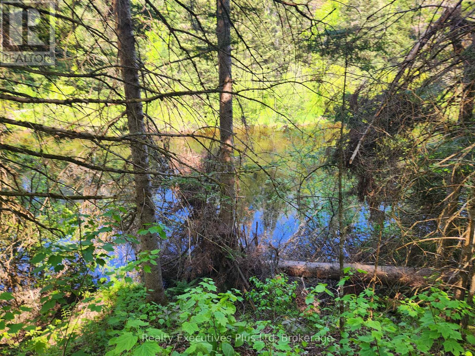 0       Pcl11457 Lot 16 &17 Con 14, Perry, Ontario  P0A 1J0 - Photo 6 - X12201841
