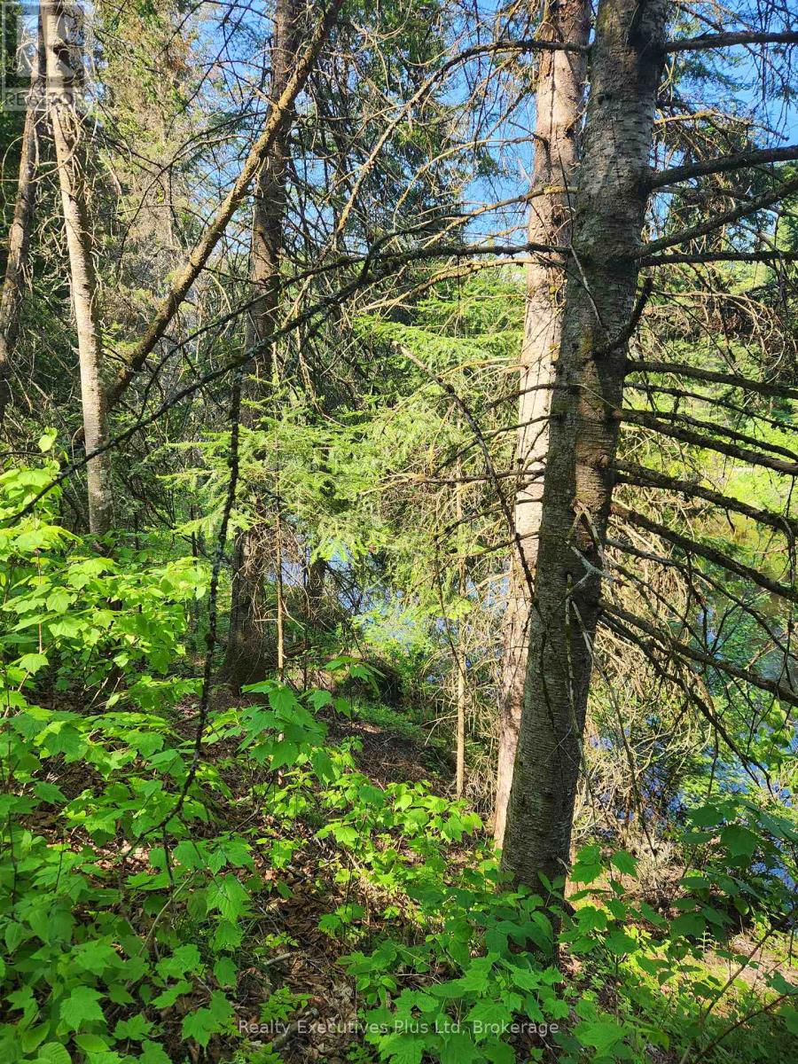 0       Pcl11457 Lot 16 &17 Con 14, Perry, Ontario  P0A 1J0 - Photo 7 - X12201841
