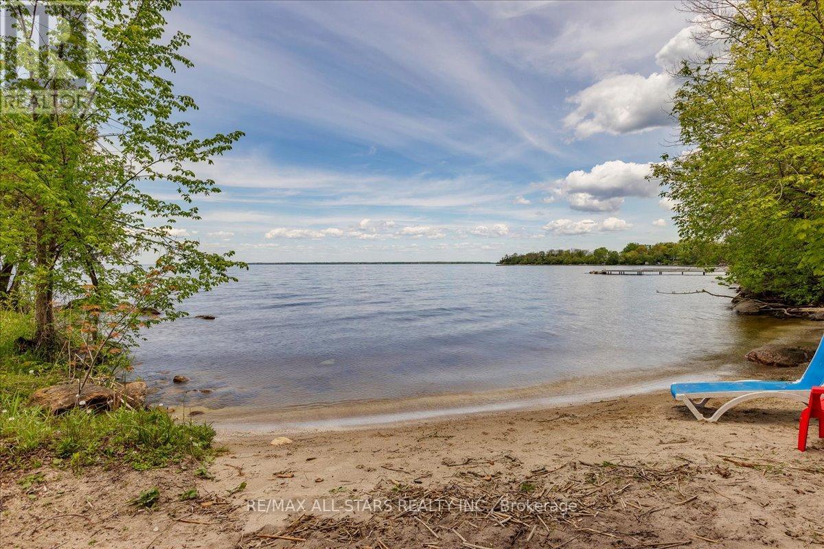 177 Hedge Road, Georgina, Ontario  L0E 1R0 - Photo 31 - N12182101