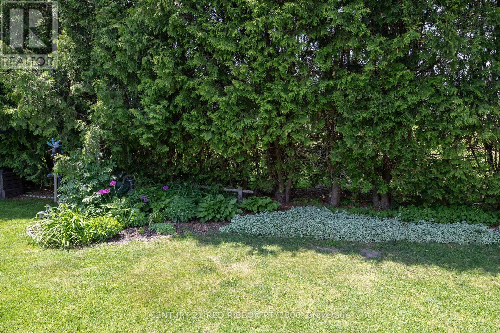 482 Riverview Drive, Strathroy-Caradoc, Ontario  N7G 4B3 - Photo 5 - X12202099