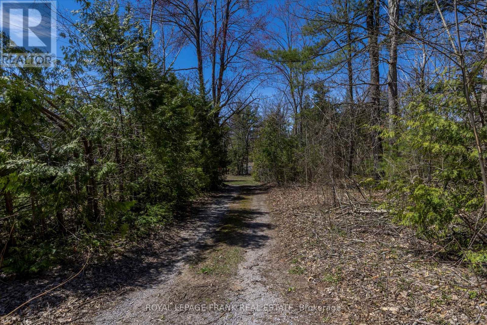 Property at 183 ADAM & EVE ROAD image 5