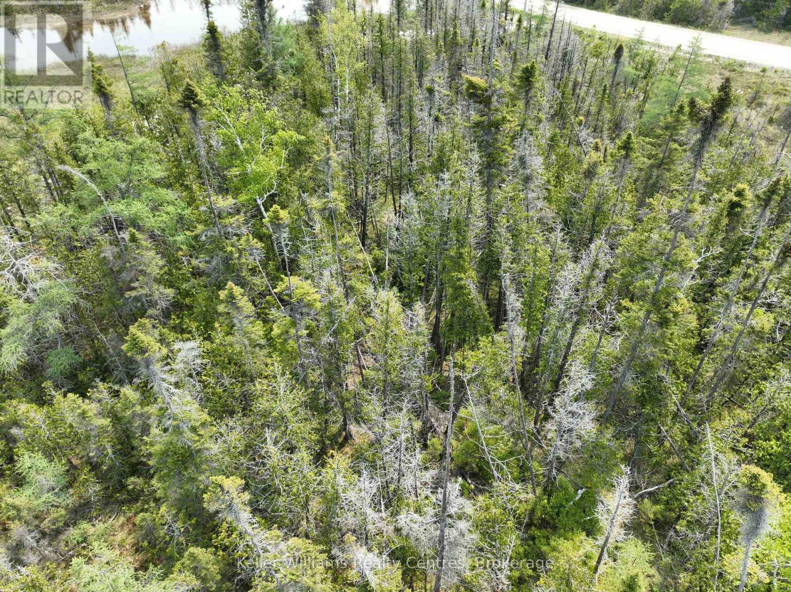 Lt 58 Mcivor Drive, Northern Bruce Peninsula, Ontario  N0H 2R0 - Photo 10 - X12202000