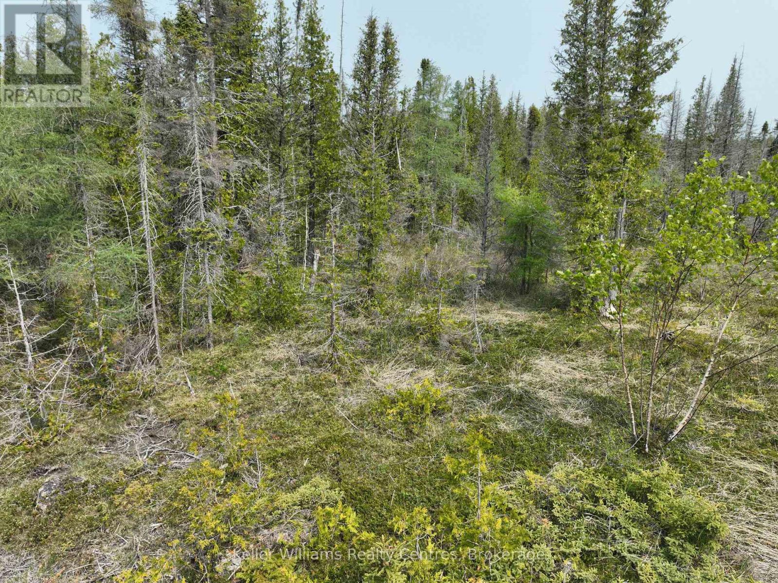 Lt 58 Mcivor Drive, Northern Bruce Peninsula, Ontario  N0H 2R0 - Photo 11 - X12202000