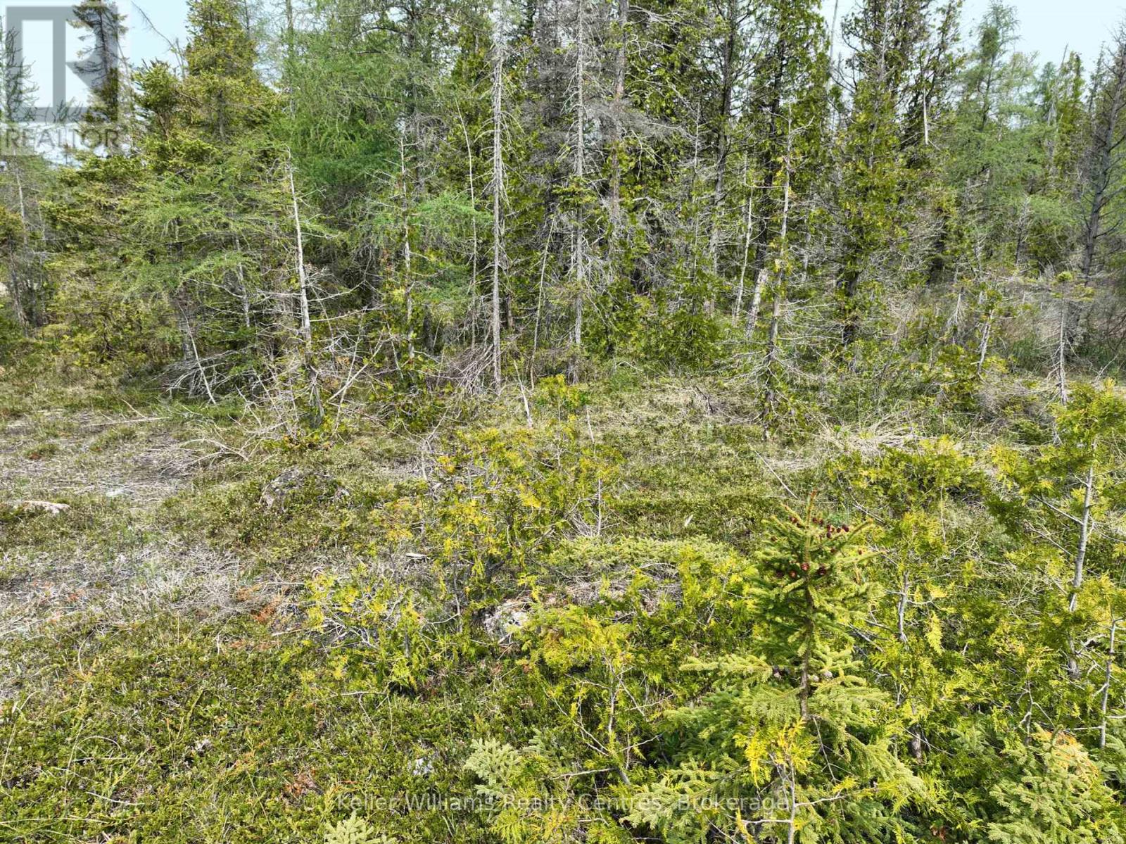 Lt 58 Mcivor Drive, Northern Bruce Peninsula, Ontario  N0H 2R0 - Photo 12 - X12202000