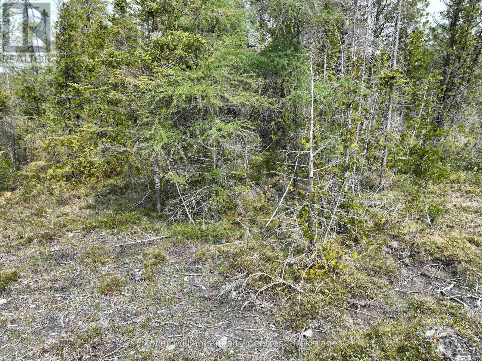Lt 58 Mcivor Drive, Northern Bruce Peninsula, Ontario  N0H 2R0 - Photo 14 - X12202000