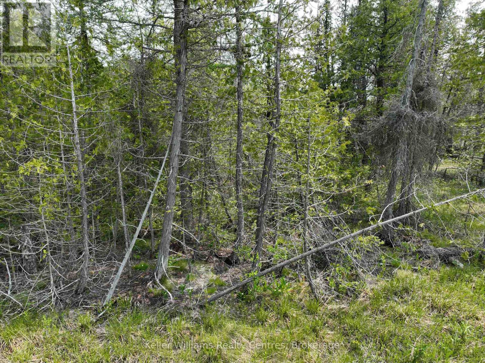 Lt 58 Mcivor Drive, Northern Bruce Peninsula, Ontario  N0H 2R0 - Photo 29 - X12202000
