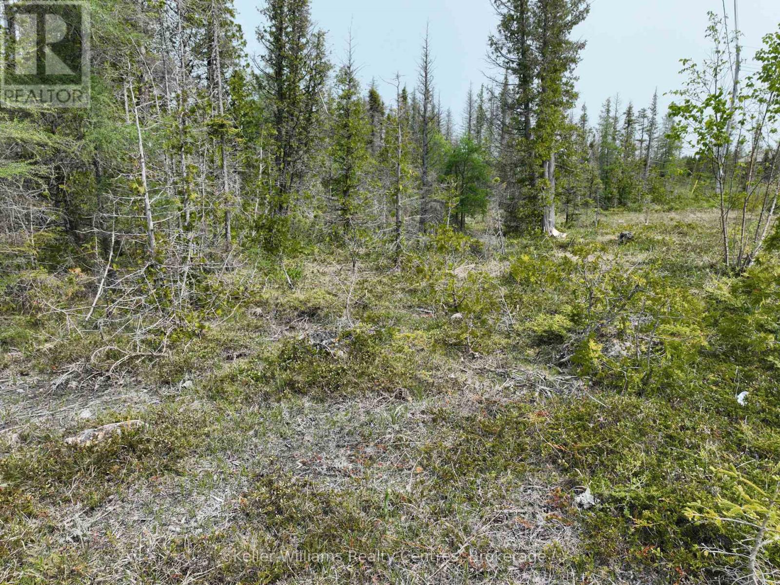 Lt 58 Mcivor Drive, Northern Bruce Peninsula, Ontario  N0H 2R0 - Photo 31 - X12202000