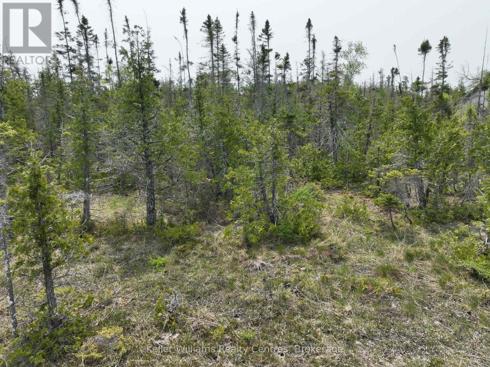 Lt 58 Mcivor Drive, Northern Bruce Peninsula, Ontario  N0H 2R0 - Photo 5 - X12202000