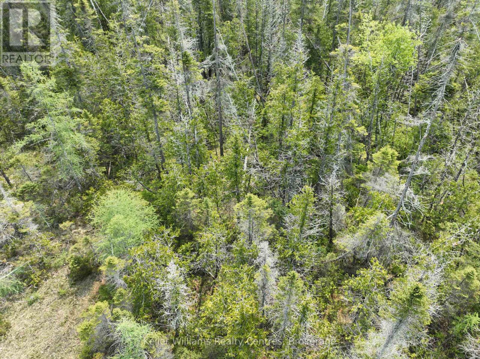 Lt 58 Mcivor Drive, Northern Bruce Peninsula, Ontario  N0H 2R0 - Photo 9 - X12202000
