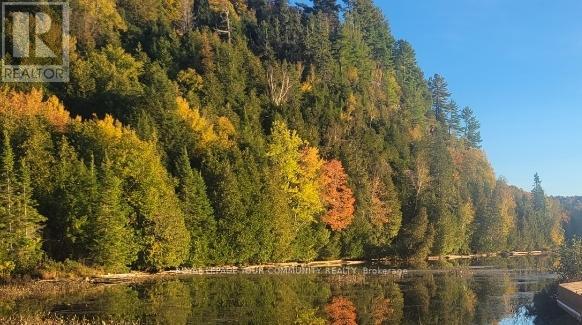 1610 Tusk Trail, Dysart Et Al, Ontario  K0L 1C0 - Photo 2 - X12201802