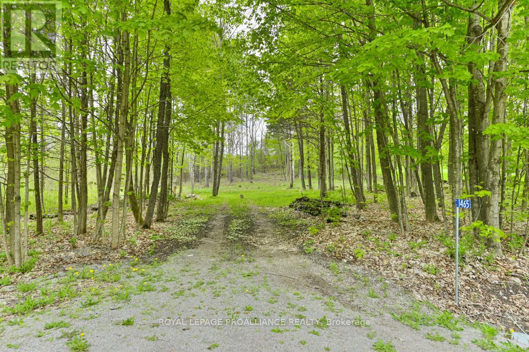 1465 PHILLIPSTON ROAD, Centre Hastings, Ontario