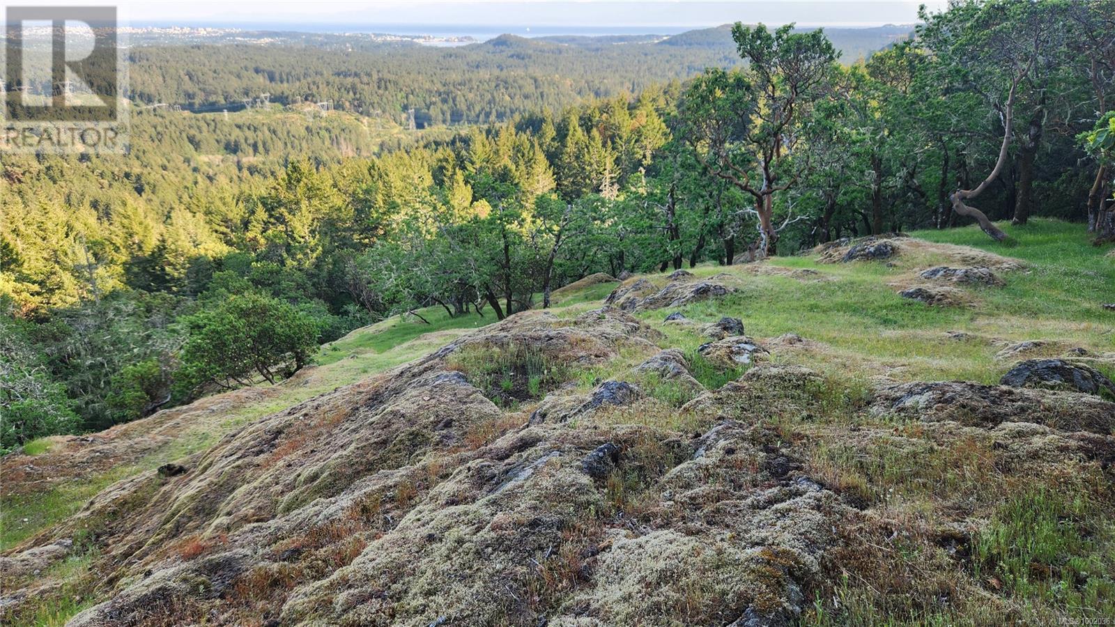 3975 Munn Rd, Highlands, British Columbia  V9E 1C8 - Photo 10 - 1002036