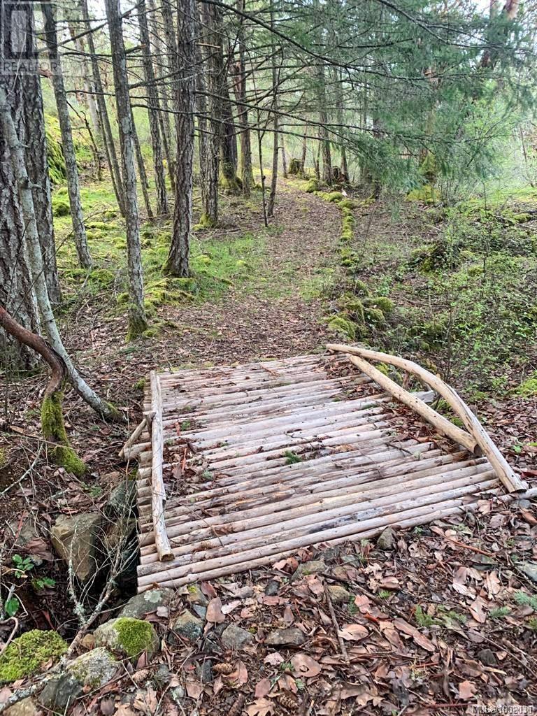 3975 Munn Rd, Highlands, British Columbia  V9E 1C8 - Photo 22 - 1002036