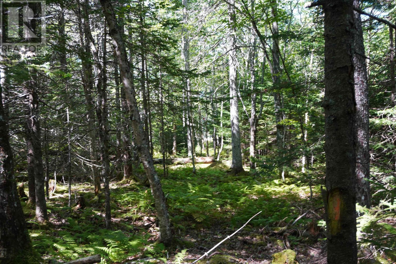 Lot 20 Golden Shore Lane, West Bay Marshes, Nova Scotia  B0E 3K0 - Photo 24 - 202407327