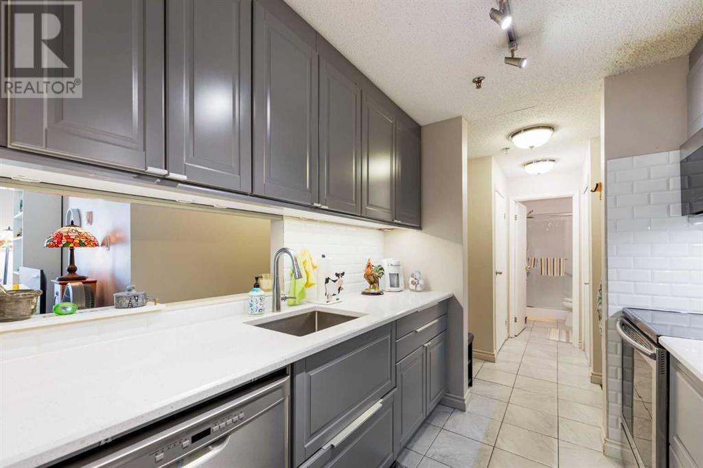 112, 723 57 Avenue Sw, Calgary, Alberta  T2V 4Z3 - Photo 11 - A2225577