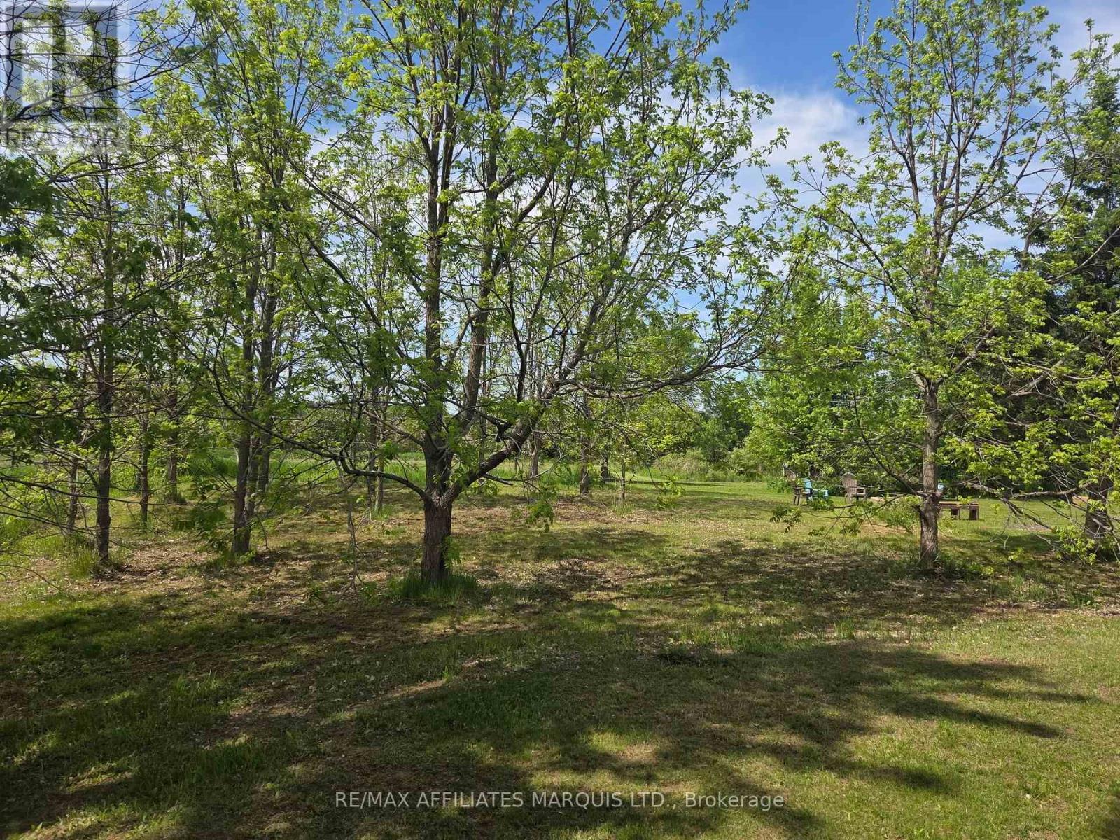 4239 County Rd 11 Road, South Stormont, Ontario  K7R 3L2 - Photo 48 - X12158075